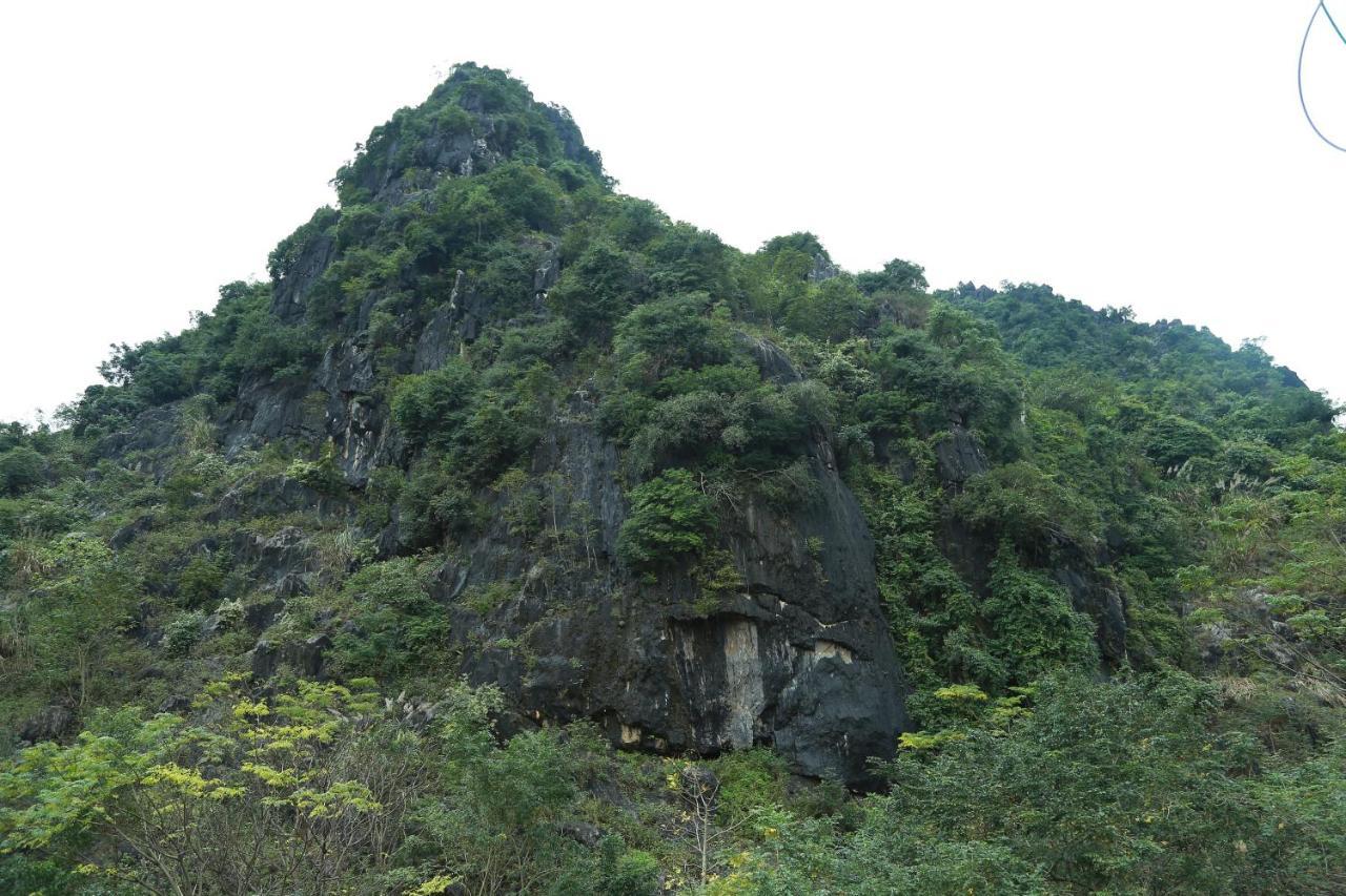 Gold Plus Hotel Phong Nha Eksteriør bilde