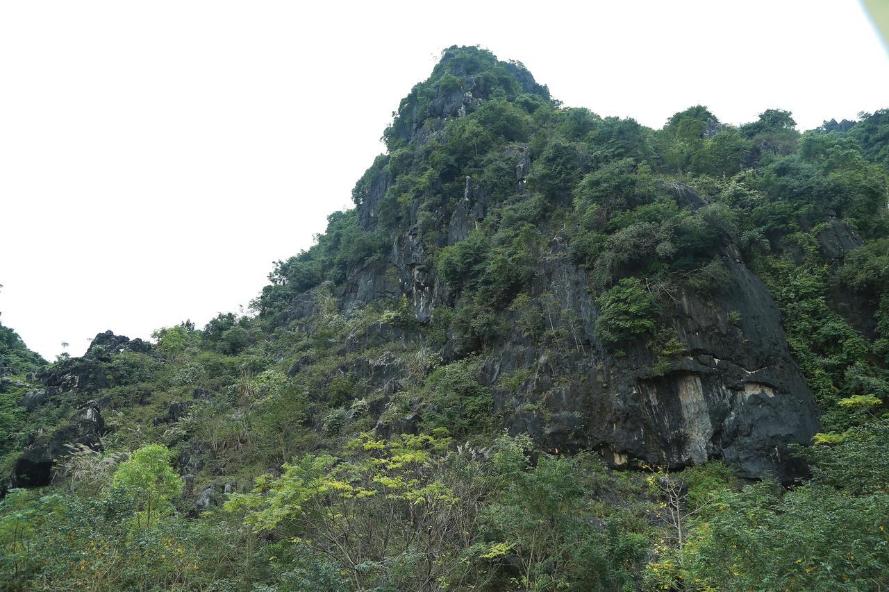 Gold Plus Hotel Phong Nha Eksteriør bilde